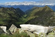 60 Bella vista sulla Val Cervia e verso le Alpi Retiche